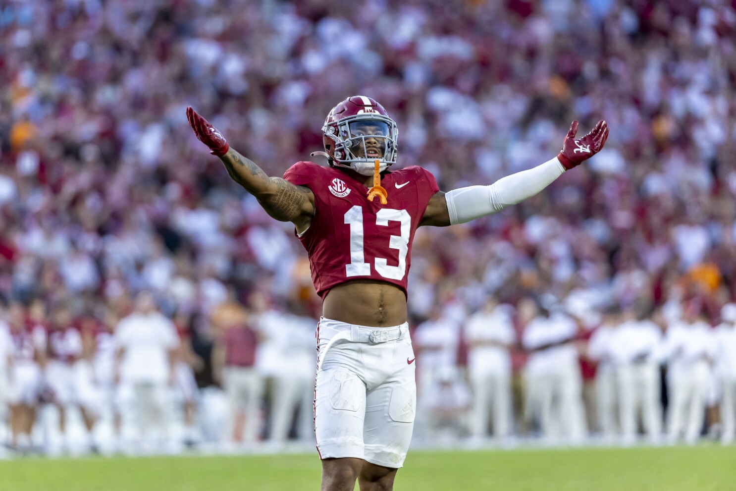 Alabama stadium sales